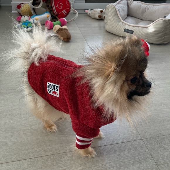 roots dog jacket